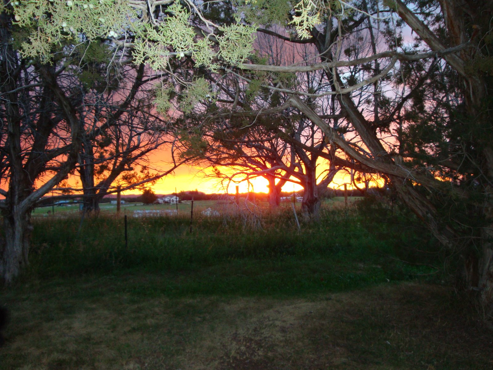 [SeptemberF2008+001.JPG]