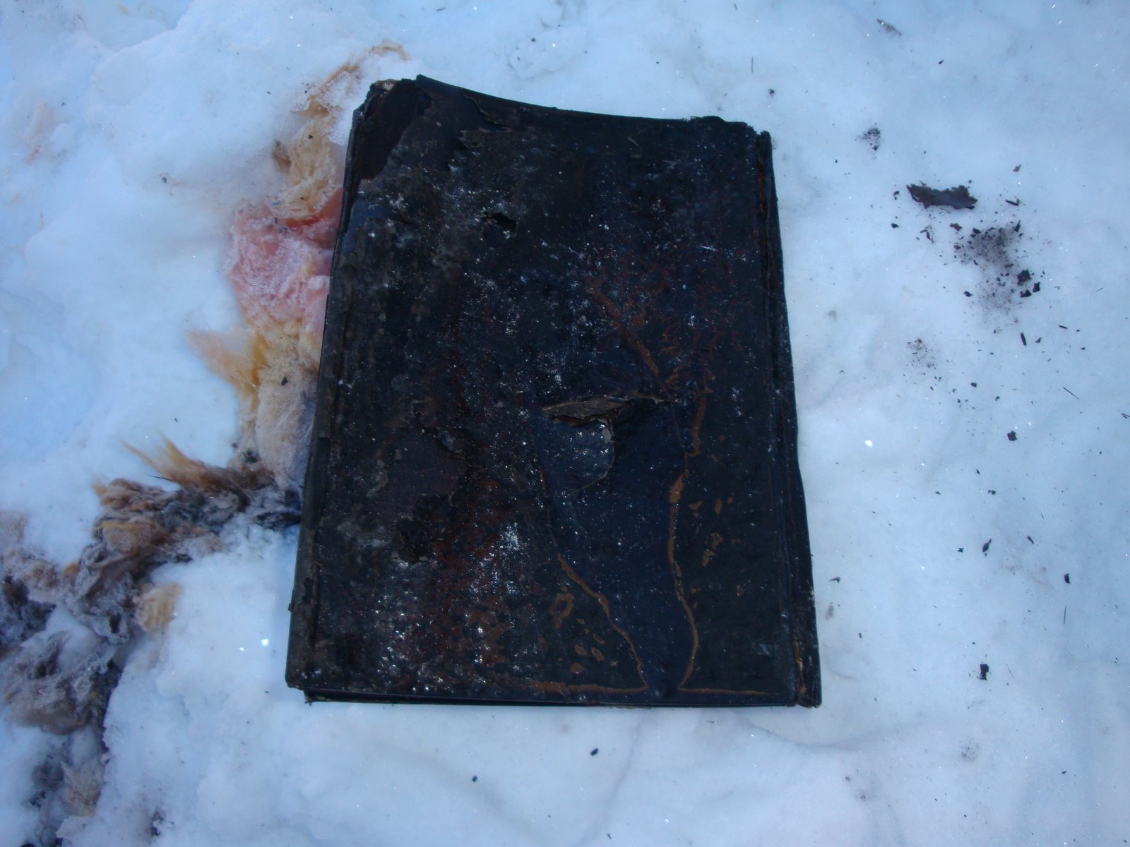 [JanuaryK2009+027.JPG]