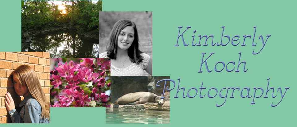Kimberly Koch Photography ~ Rates & Info