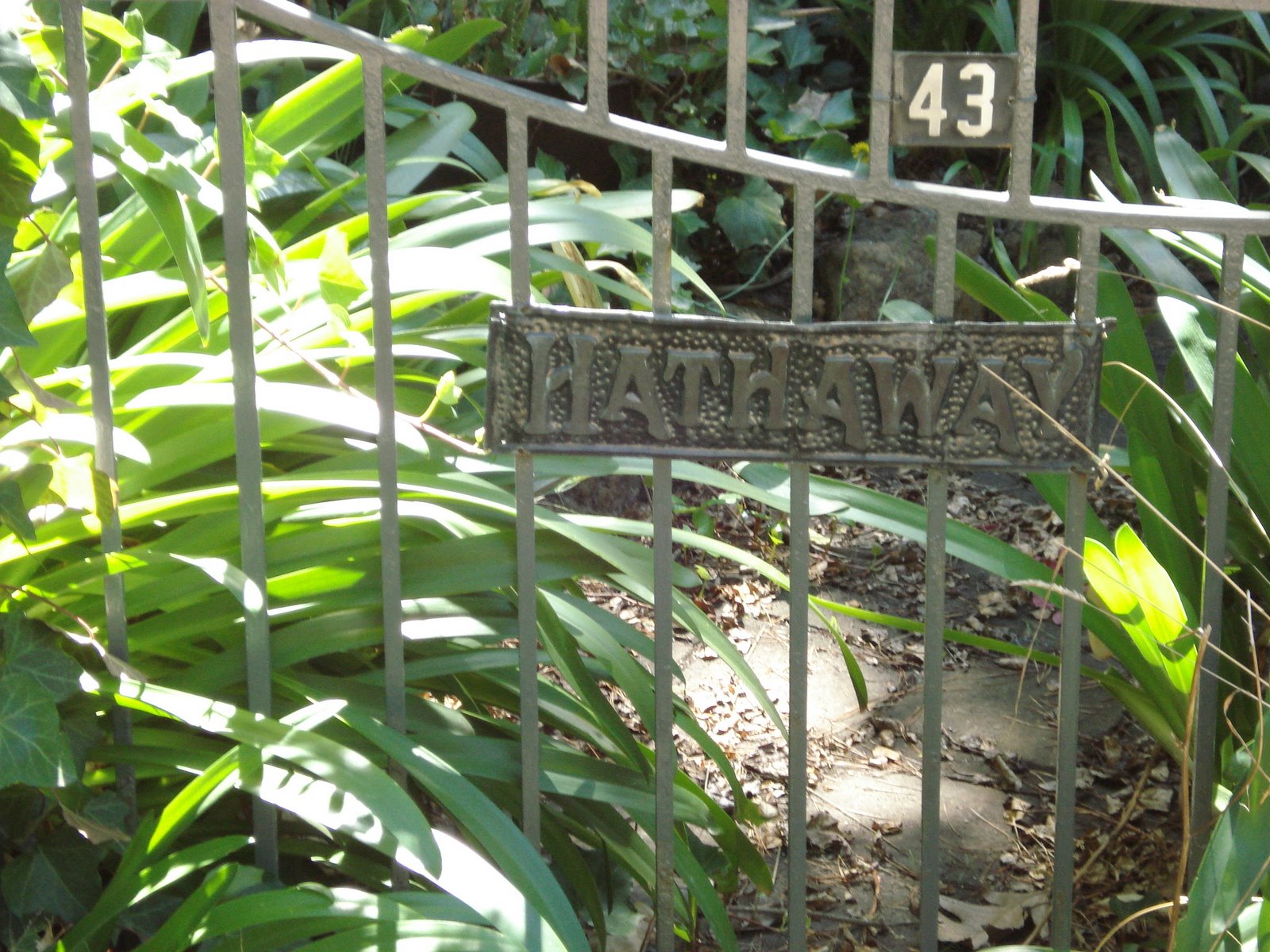 [Stirling+Walk+007.JPG]