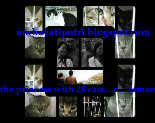 norhayatiputri.blogspot.com