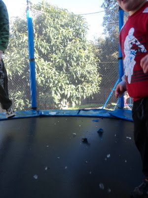 Funny+slipping+on+ice