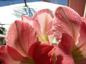 Text Il Werkstatt 2008