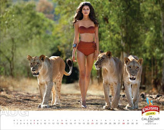 Kingfisher Calendar 2011 - August