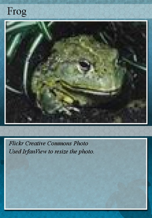 [frog+trading+card.jpg]