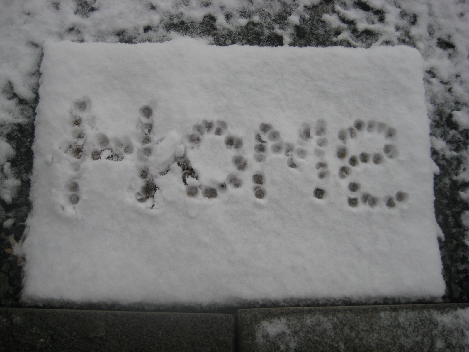 [IMG_3077.JPG]