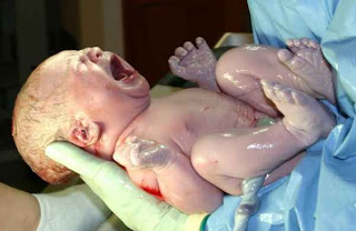Human-infant-newborn-baby.jpg (601×391)