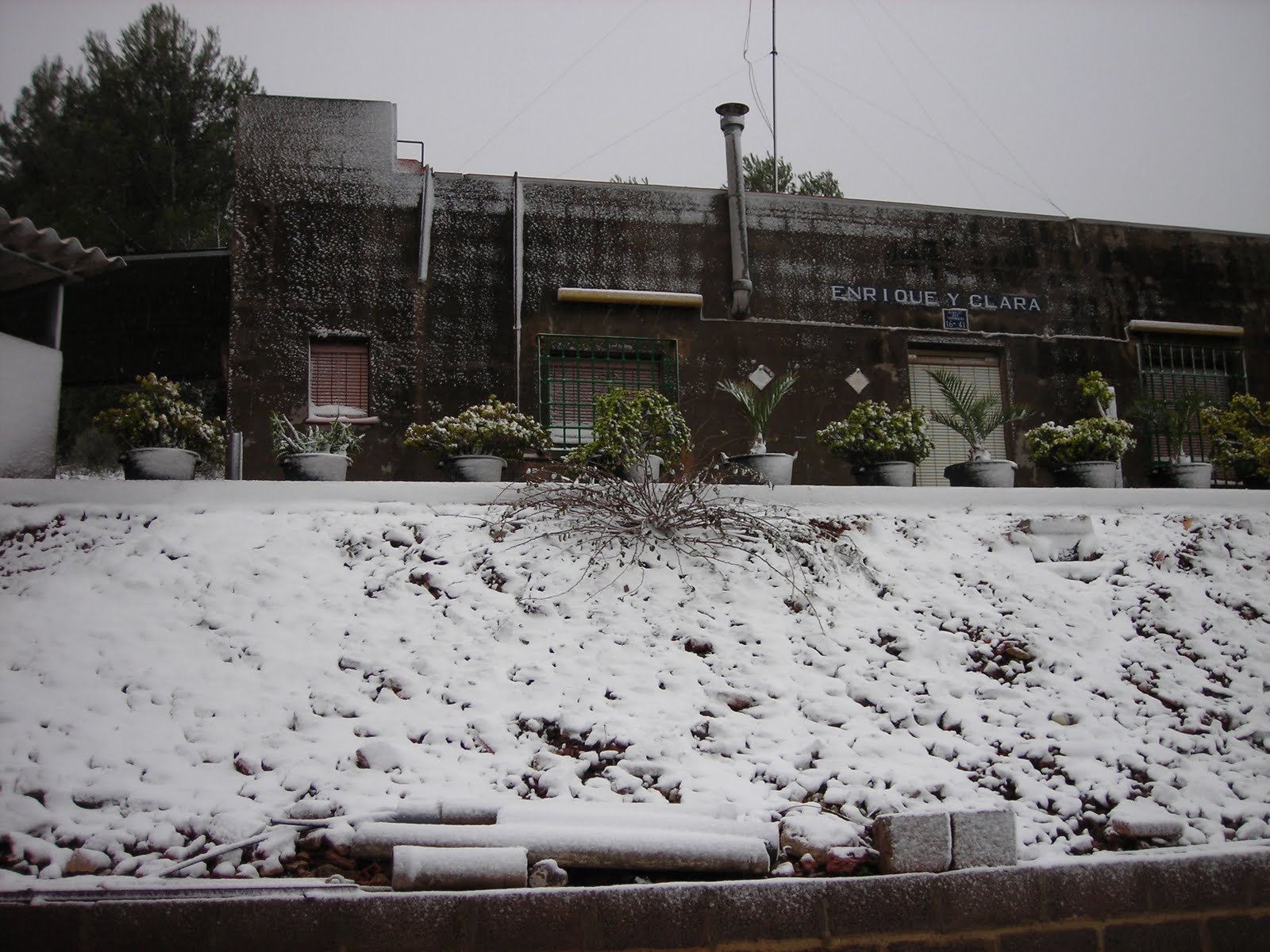 [DSCN3574.JPG]