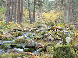 Otoño en la Boca del Asno