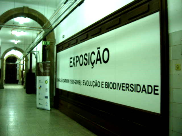[IMG_1620.JPG]