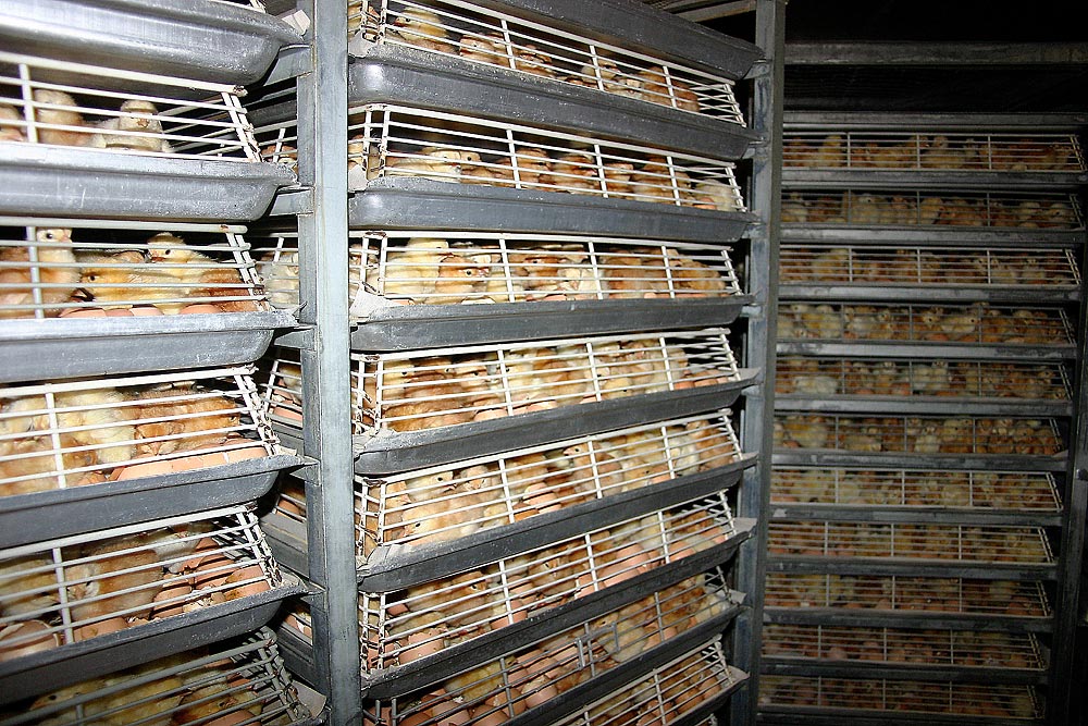 September 1869 Stockfotos Und Bilder Kaufen Alamy