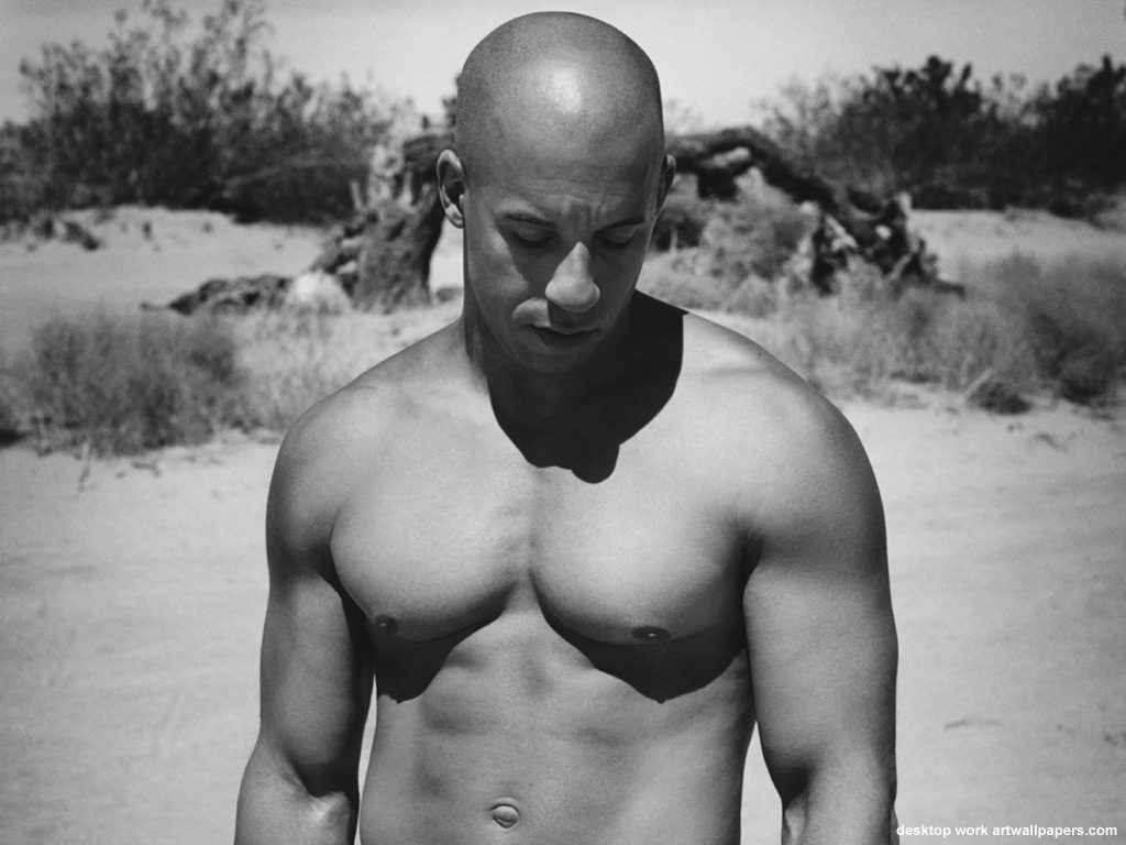 http://2.bp.blogspot.com/_ZPO1N5H4axo/TOal4ehjFiI/AAAAAAAAADQ/aWm10b_68Zw/s1600/vin_diesel01.jpg