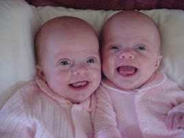 Twin Baby อยากได้ลูกแฝด
