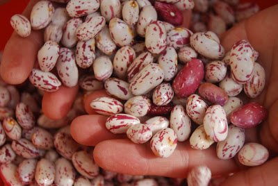 fagioli fagioli