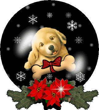 GIF ANIMADOS CON gif animados con: