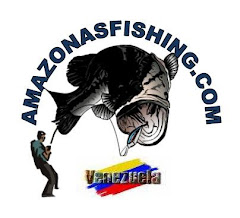 LOGO AMAZONAS