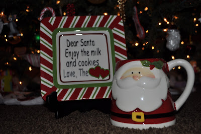 Cookies and Milk for Santa DSC_1961