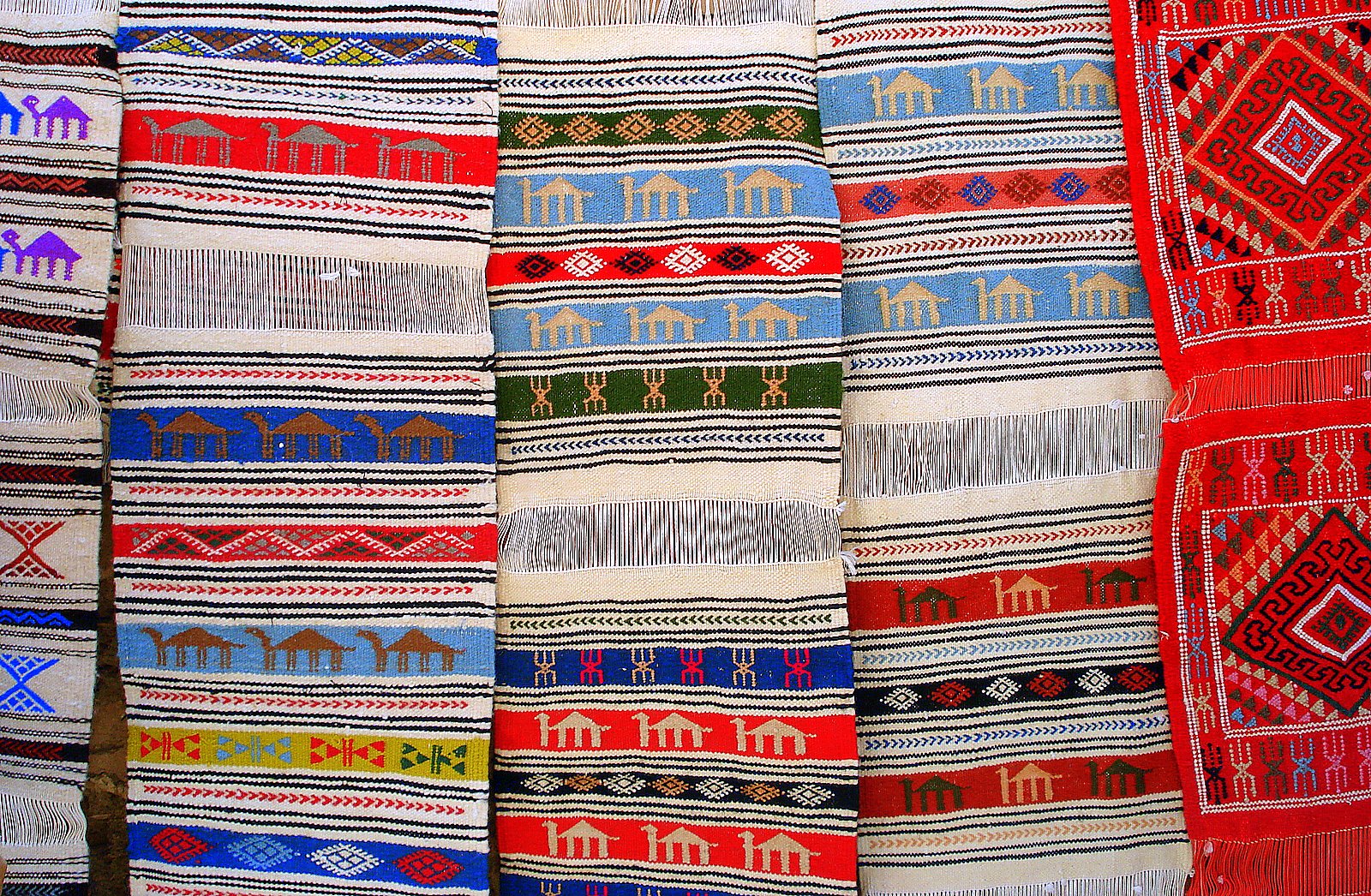 [Tunisia+2+034.jpg]