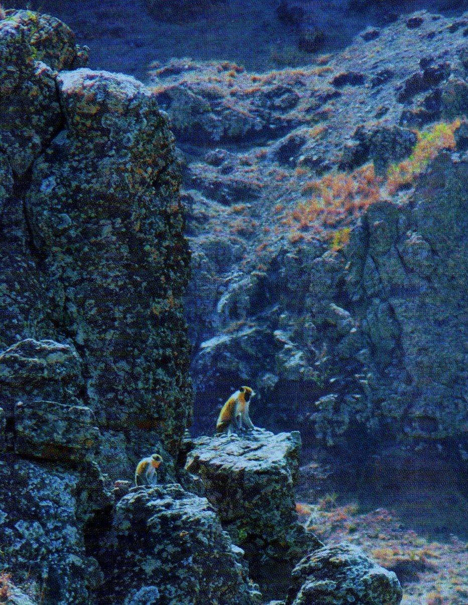 [img212.jpg]