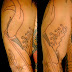 Japanese TATTOO Horimitsu style 鯉 koi fish