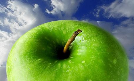 [manzana.jpg]