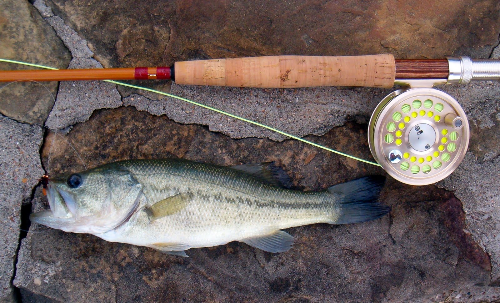 g loomis adventure 5 fly reel