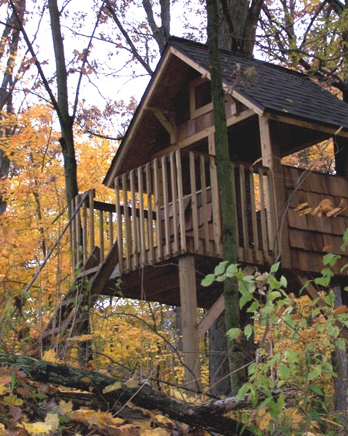 Bungalow Monster: Our Bungalow Tree House