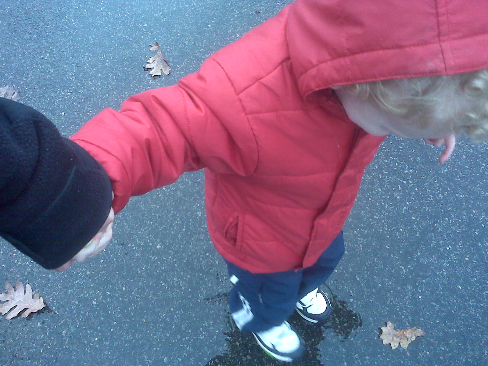 [=?utf-8?B?SU1HMDAxOTIuanBn?=-787622]