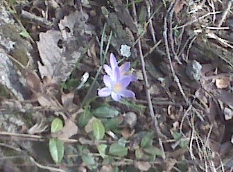 [=?utf-8?B?SU1HMDAxNDQuanBn?=-783131]