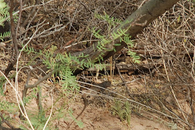 Juli S Travel Blog 2017