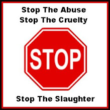stop the abuse sign