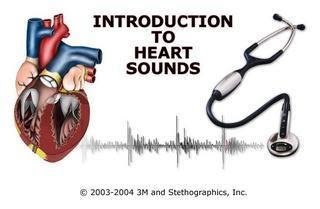 heart cardiac auscultation sound apex sounds introduction littmann stethoscopes 3m aortic second doctors gates third normal