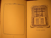  enfocando los hijos de amigos y parientes. nan goldin 