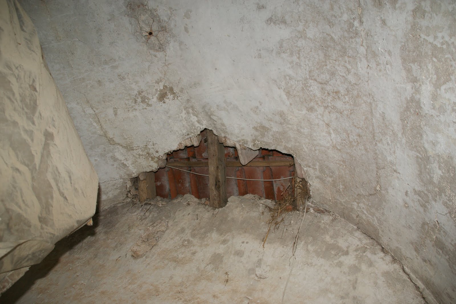 [DSC04844.JPG]