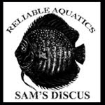 ALL DISCUS STRAINS