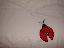 19 - Joaninha peq. na frente