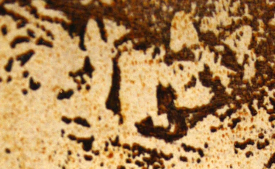 [IMG_2876_edited.jpg]