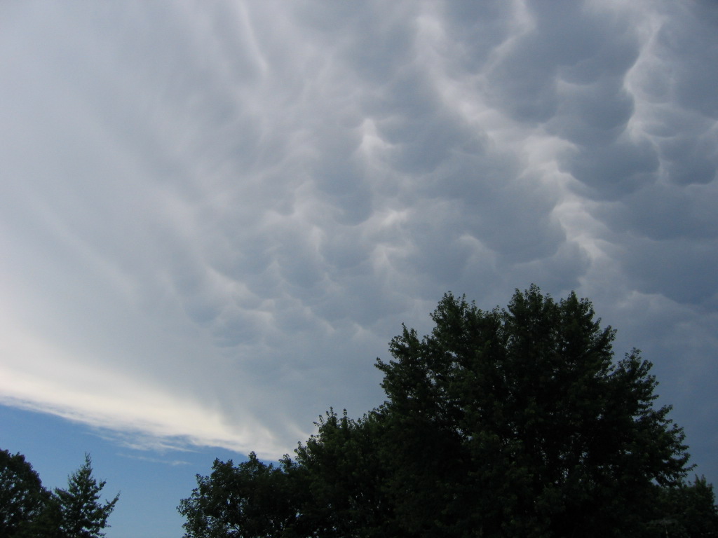 [mammatus+ogle2.JPG]