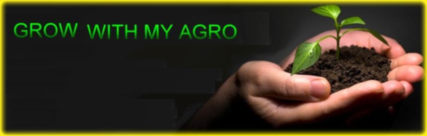 Best Fertilizer Companies