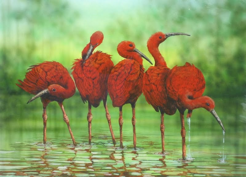 “t“the scarlet ibis” by james hursthe Struggling with james hurst's the scarlet ibis check out our thorough summary and analysis of this literary masterpiece. “t“the scarlet ibis” by james hursthe Struggling with james hurst's the scarlet ibis check out our thorough summary and analysis of this literary masterpiece.