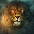 LION OF JUDAH!