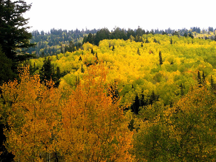 Fall \