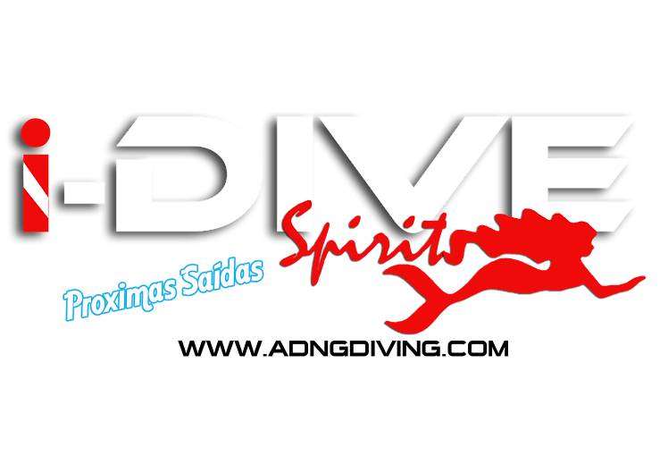 i-DIVE Spirit : NEXT DIVES