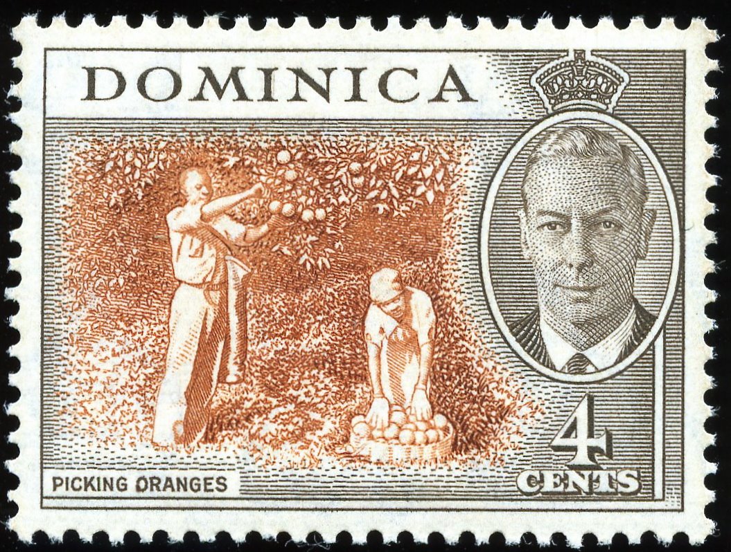 [Dominica+1951(1+July)+SG120:SG131_4.jpg]