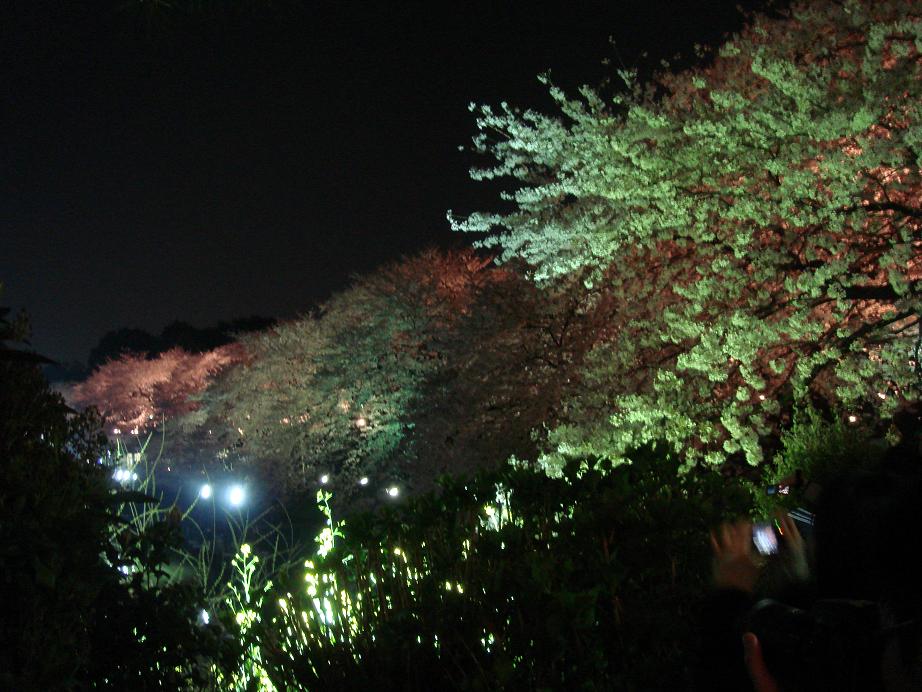 [DSC04561.JPG]