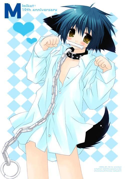 Anime Male Neko