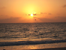 The Clearwater Beach Sunset We Both Miss!