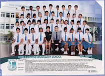 3n1 09 Formal