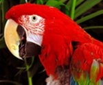 <br>rio tudo bom<br>"Rio It\