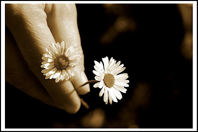 2flowers.jpg